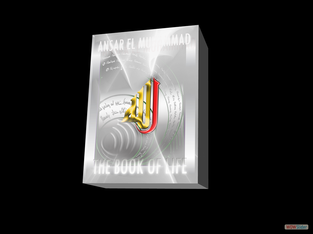 AMJ Book of Life Cover 3D for Web